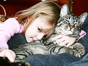 Veterinarian Rescue Dog and Cat Health Plans: Gray Tabby Cat with Little Girl