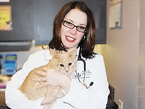 Kansas City Veterinarian Rescue Cat Wellness Plan
