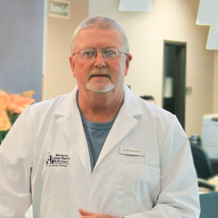 Dr. Michael Groh Dr. Michael Groh