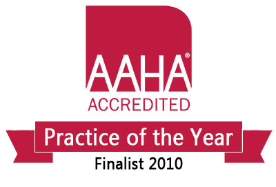 Badge for American Animal Hospital Associations Practice of the Year Award Finalist
