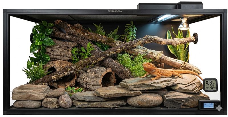 Aquarium Aquarium Set Up For a Lizard