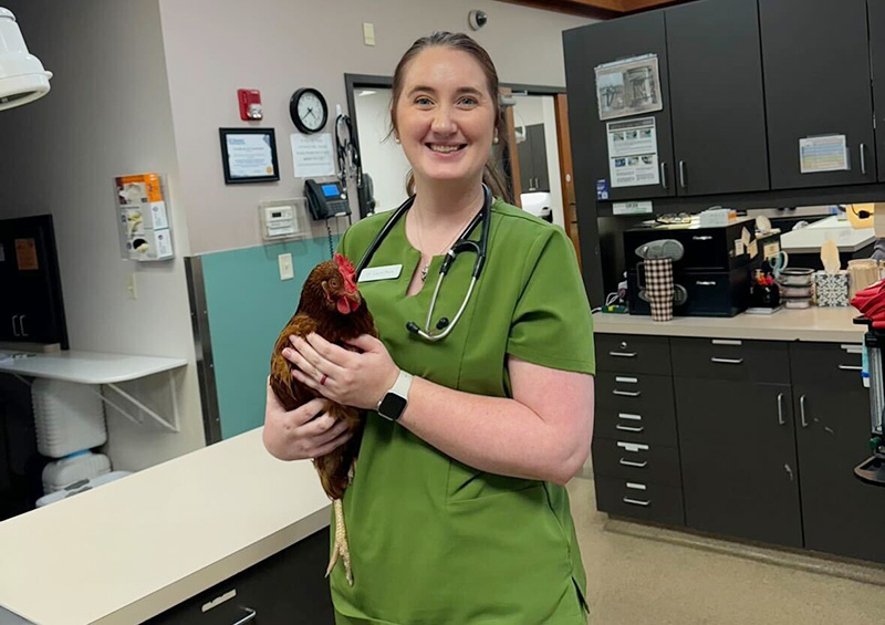 Dr. Laura Peck is an Avian Veterinarian who treats pet chickens and ducks