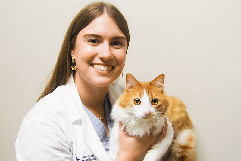 Dr. Carly Straight, Veterinarian, Blue Springs Animal Hospital, examines a cat