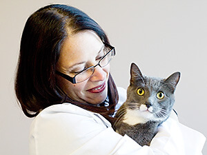 Dr Gina Bradley with a cat