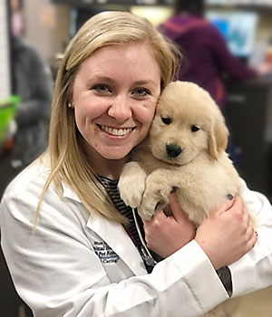 Dr Haley Foudree examines a puppy at Blue Springs Animal Hospital