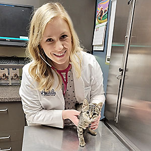 Dr Haley Foudree examines a kitten at Blue Springs Animal Hospital
