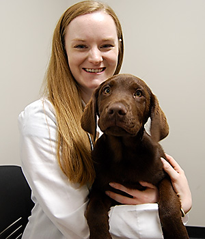 Dr. Freeman examines a puppy at Blue Springs Animal Hospital