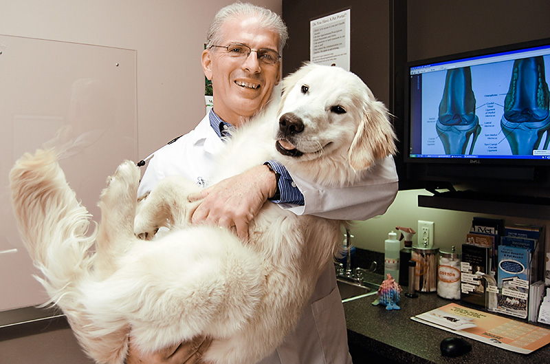 Dog veterinarian vaccines wellness care Kansas City area