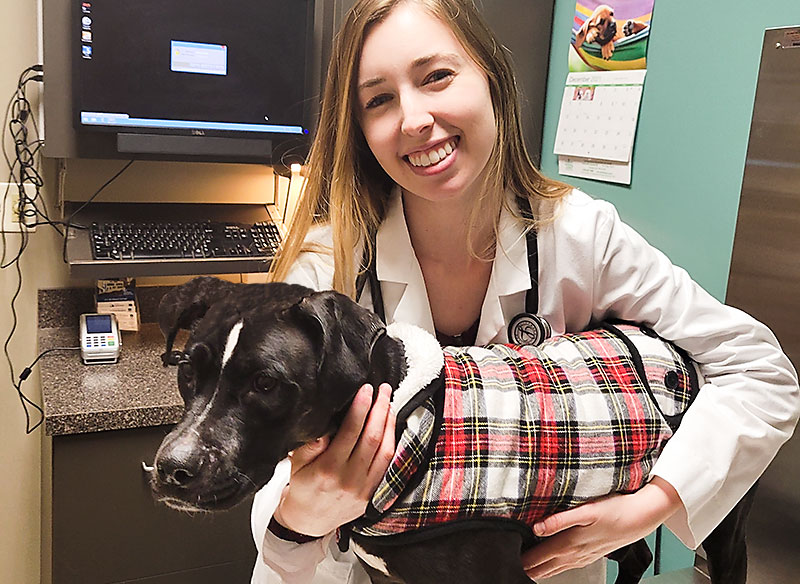 Dr Alana Einspahr Veterinarian Blue Springs Animal Hospital Kansas City Dog Dr Alana Einspahr Veterinarian Blue Springs Animal Hospital Kansas City Dog