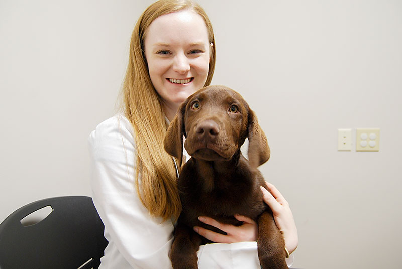 Dr. Freeman examines a puppy at Blue Springs Animal Hospital near Kansas City