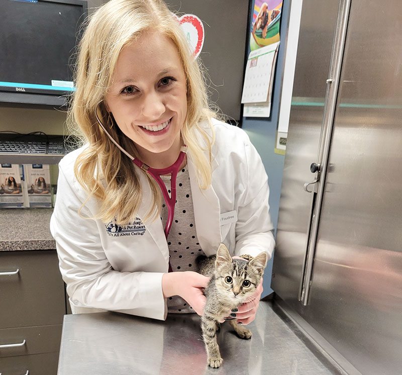 Dr Haley Foudree Veterinarian Blue Springs Animal Hospital Kansas City