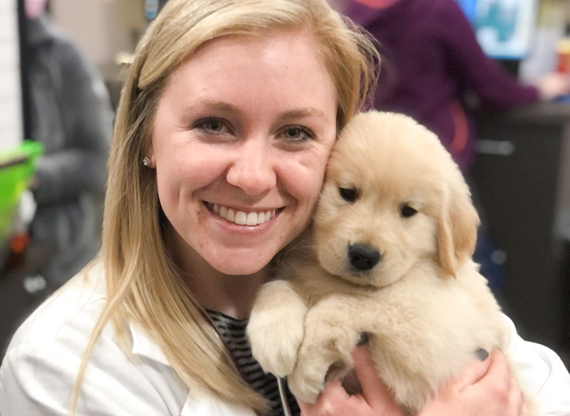Dr Haley Foudree examines a puppy at Blue Springs Animal Hospital