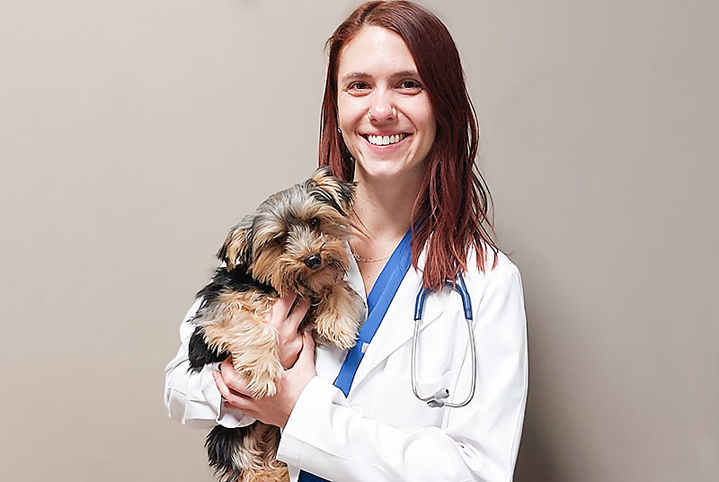 Image of Dr Jamie Gerlach with a dog at Blue Springs Animal Hospital near Kansas City