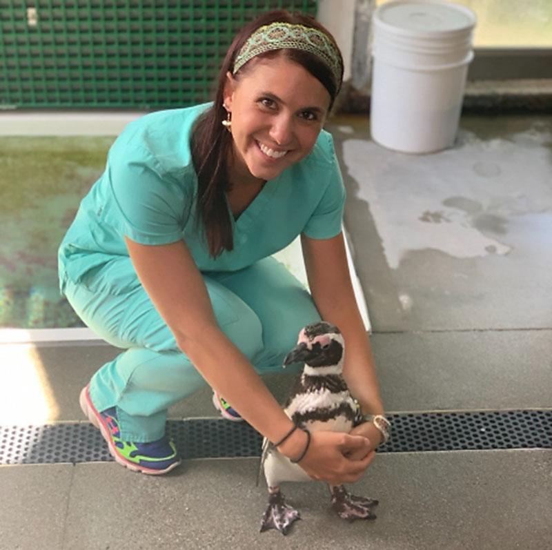 Image of Dr Jamie Gerlach caring for a penguin at the Kansas City zoo