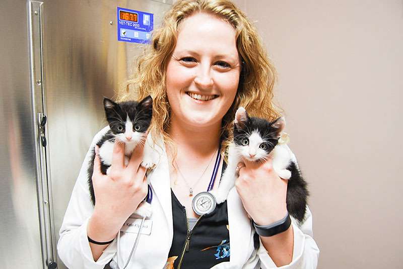 Dr Katie Dear Veterinarian Blue Springs Animal Hospital with Cat