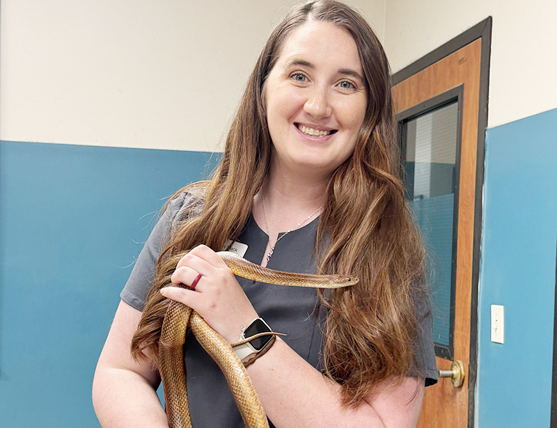 Dr. Laura Peck, Reptile, Avian, Exotics Veterinarian, with a snake at Blue Springs Animal Hospital