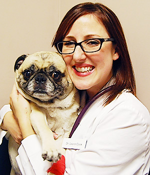 Image of Dr Laura Cook, Veterinarian, With a Dog at Blue Springs Animal Hospital in Kansas City