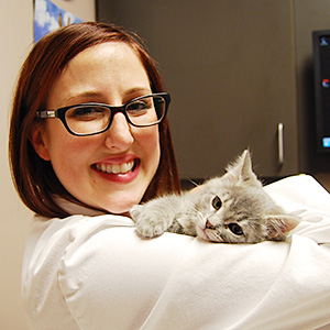 Image of Dr-Laura_Cook_Veterinarian_Examines-Cat-Blue_Springs_Animal_Hospital