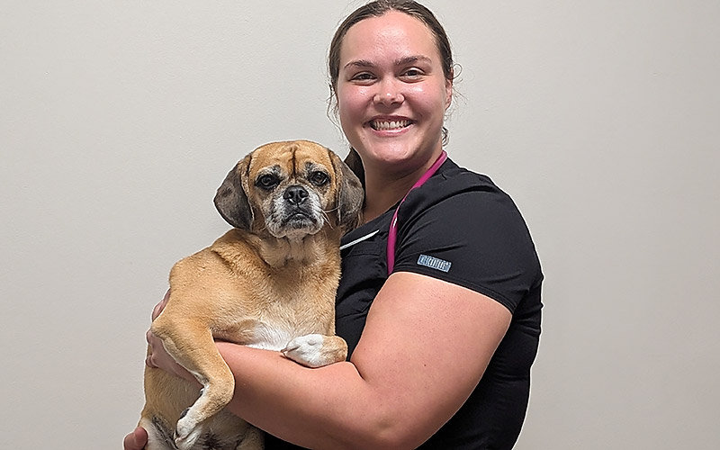 Dr. Ashlyn Dotson, Veterinarian, Examines a Dog at Blue Springs Animal Hospital near Kansas City