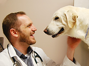 Dr_Damian_Peyton_Veterinarian_Kansas_City examines a dog