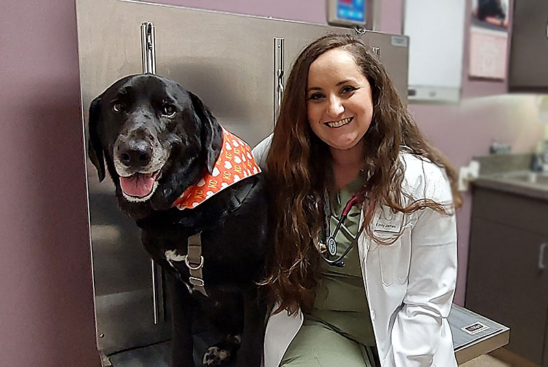 Dr. Emily James, Veterinarian, Blue Springs Animal Hospital examines a dog