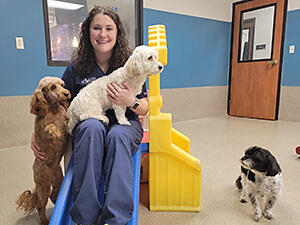 Pampered Pet Playtime with dogs playing on slide with staff member