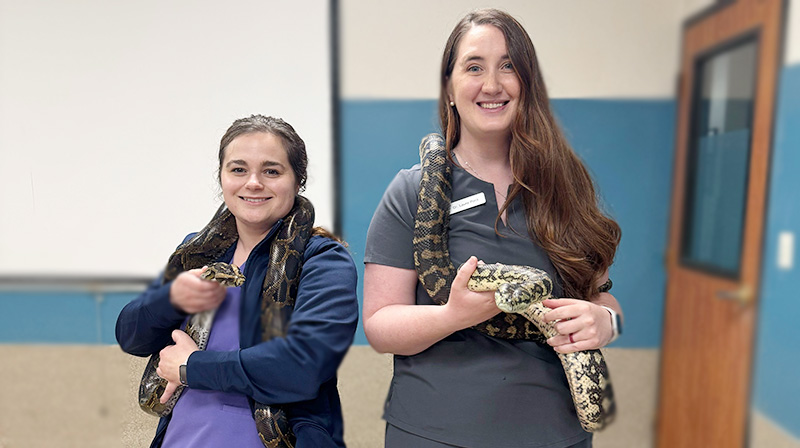 Reptile, Avian, and Exotics Veterinarians at Blue Springs Animal Hospital Reptile, Avian, and Exotics Veterinarians at Blue Springs Animal Hospital