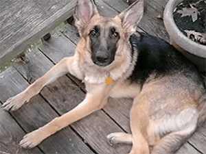 Lady Sasha