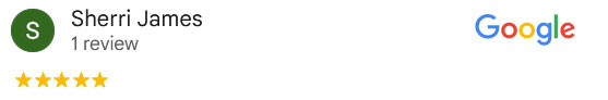 Google Review Dr Emily Jamies Blue Springs Animal Hospital Kansas City