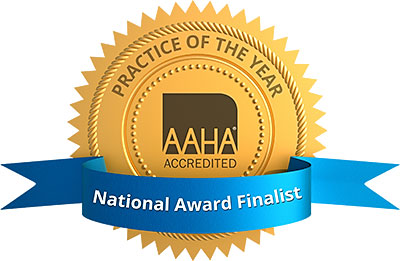 Badge for American Animal Hospital Associations Practice of the Year Award Finalist