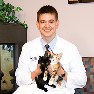 Dr Ryder with kittens