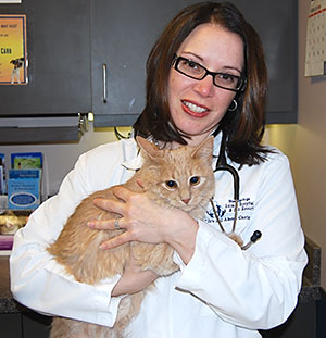 Dr Bradey with a cat
