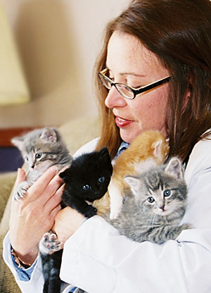 Dr Bradley with kittens
