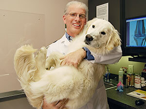 Dr Rodier with Golden Retriever dog