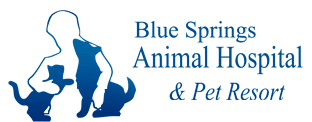 Blue Springs Animal Hospital